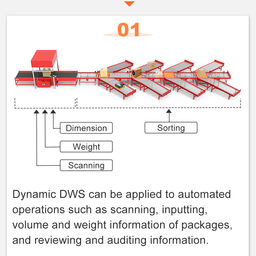 Warehouse Logistics System With DWS Machine Sorting Machine